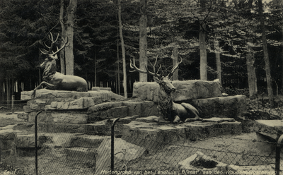 16212 Gezicht op de beeldengroep met herten en rotsblokken in het Zeister Bos (Woudenbergseweg) te Zeist.
